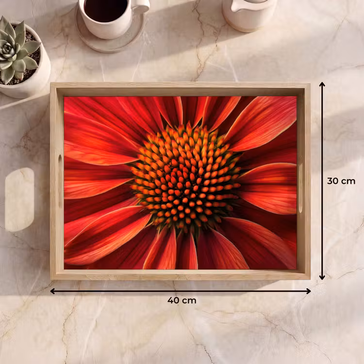 Plateau - Gros plan - Fleur - Rouge — 7
