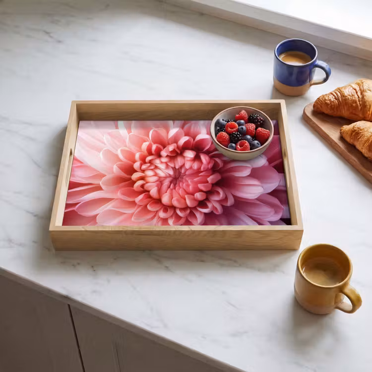 Plateau - Dahlia - Fleur - Gros plan - Rose — 3