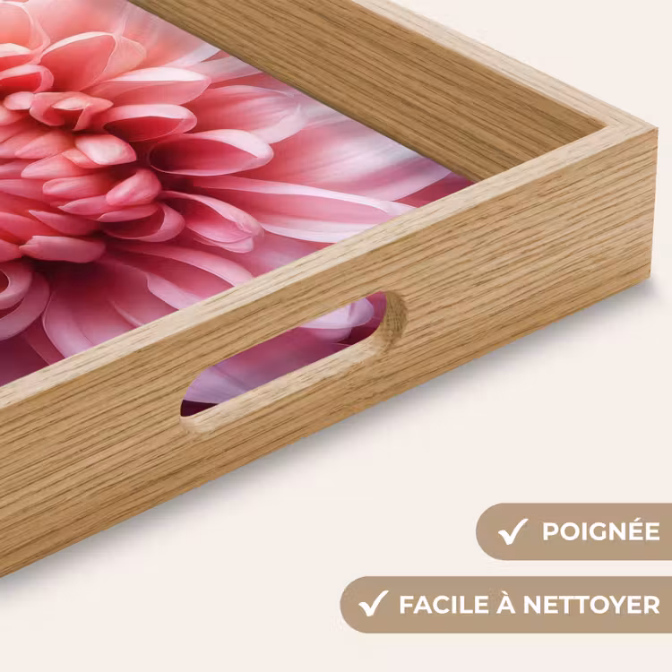 Plateau - Dahlia - Fleur - Gros plan - Rose — 8