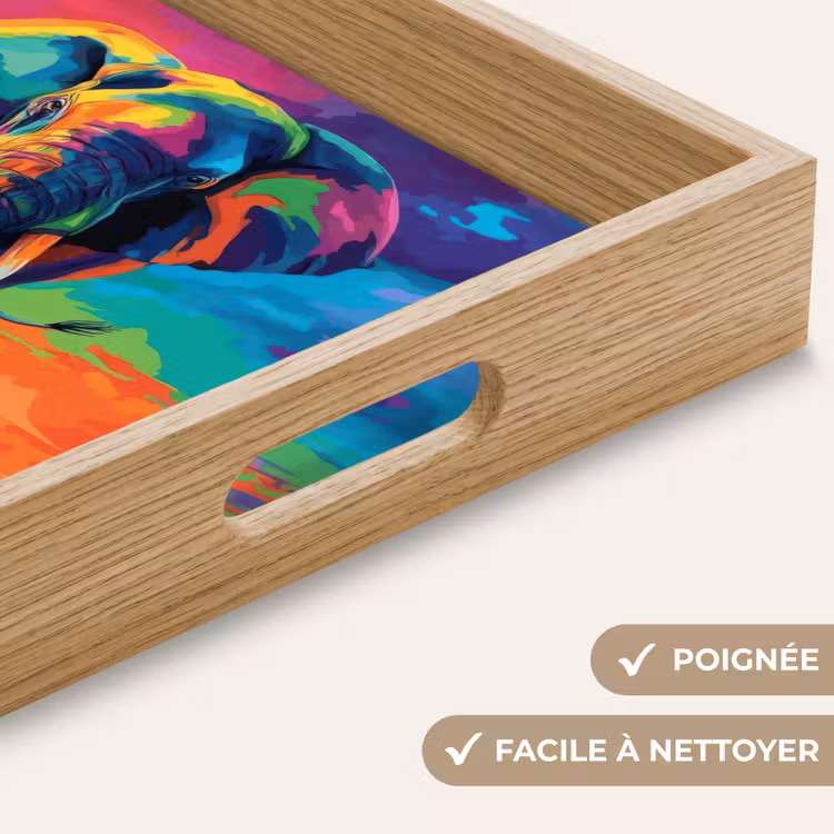 Plateau - Éléphant - coloré - ciel - abstrait — 8