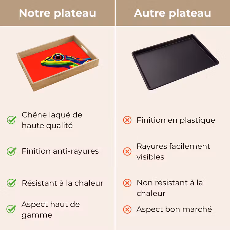 Plateau - Grenouille - colorée - rayée - yeux — 9