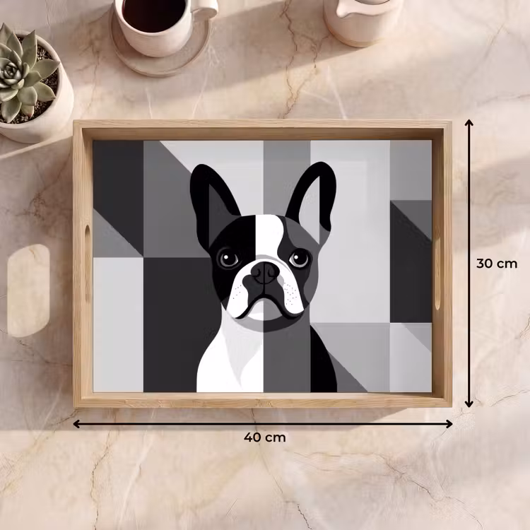 Plateau - Bulldog - Noir - Abstrait - Avions — 7