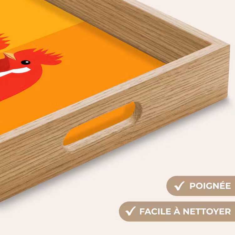 Plateau - Poulets - Orange - Plaines — 8