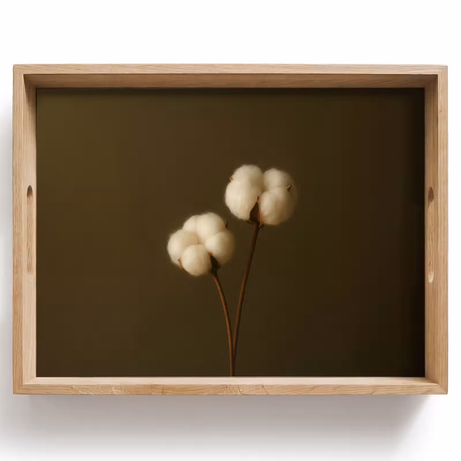 Plateau - Branches - Coton - Blanc - Sphères — 1