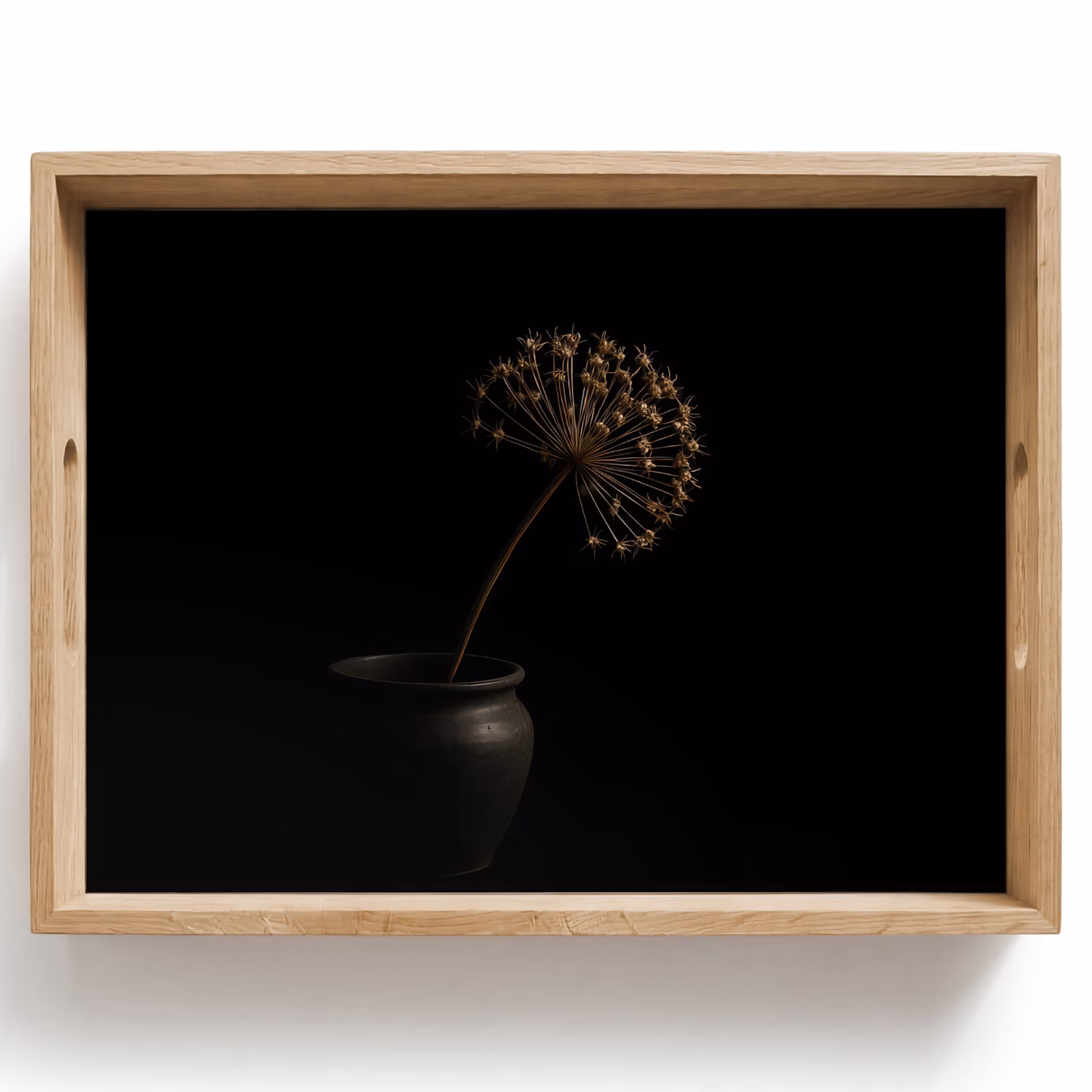 Plateau - Bulbe - Séché - Vase - Noir — 1