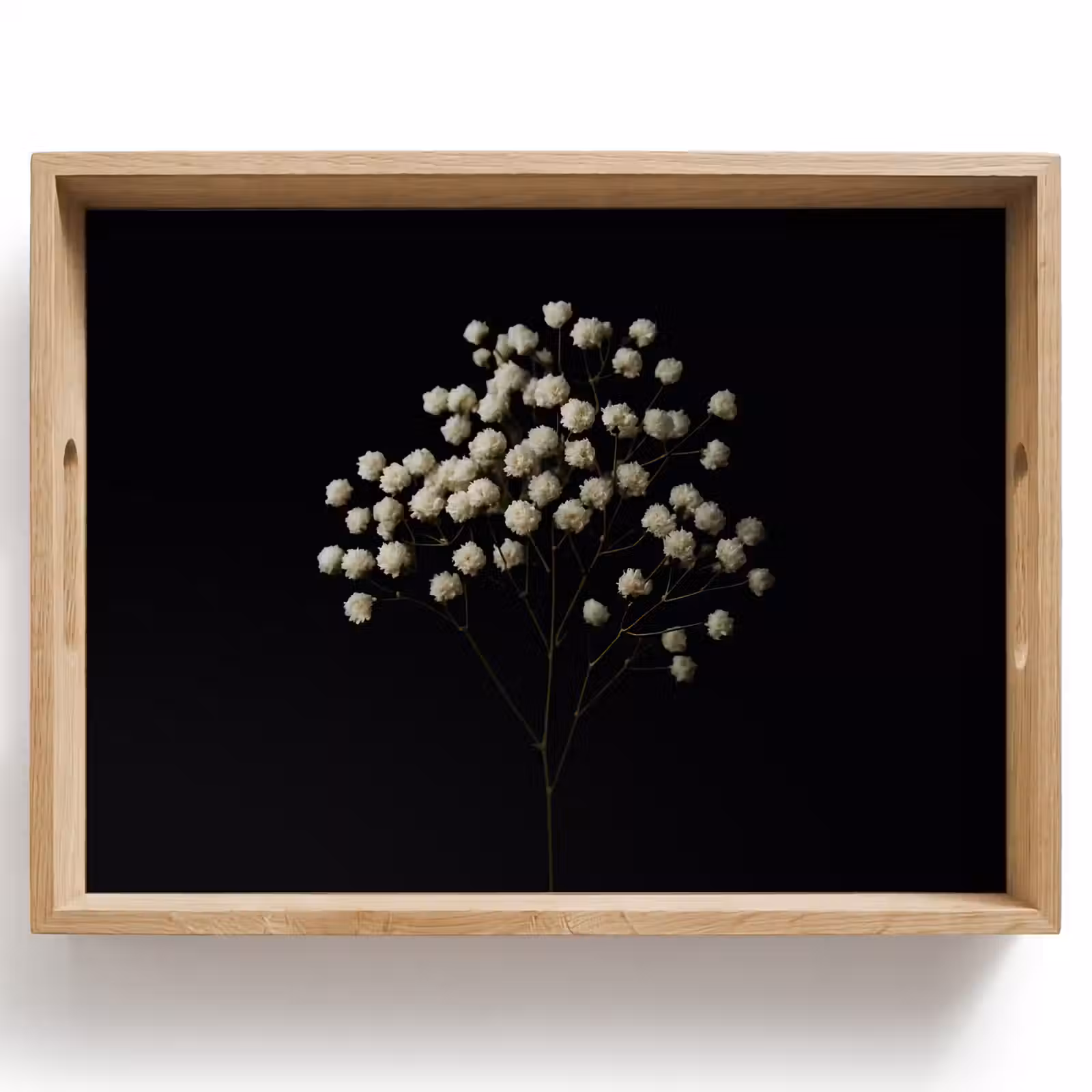 Plateau - Plasterwort - Fleurs - Blanc - Minimaliste — 1