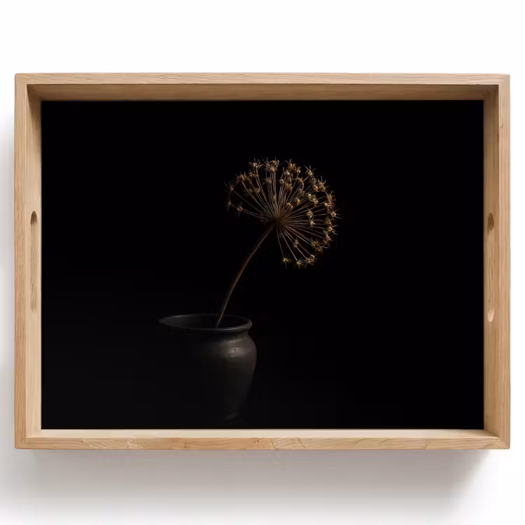 Plateau - Bulbe - Séché - Vase - Noir — 1