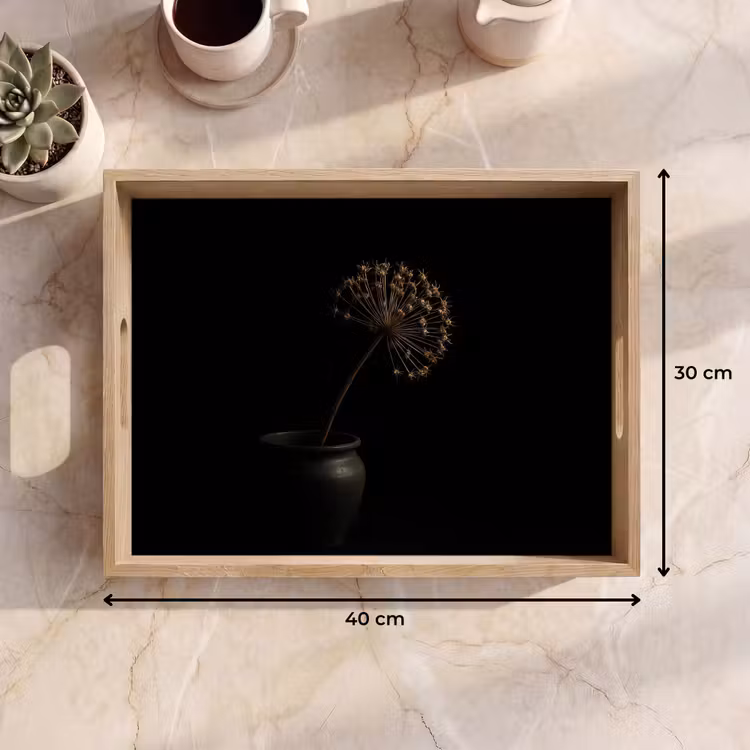 Plateau - Bulbe - Séché - Vase - Noir — 7