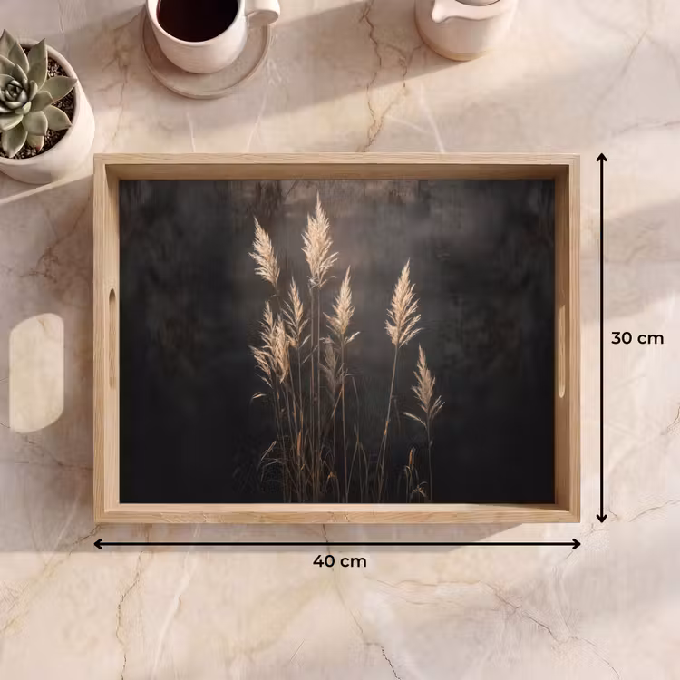 Plateau - Herbe d'ornement - Plumes - Eclairage - Noir — 7