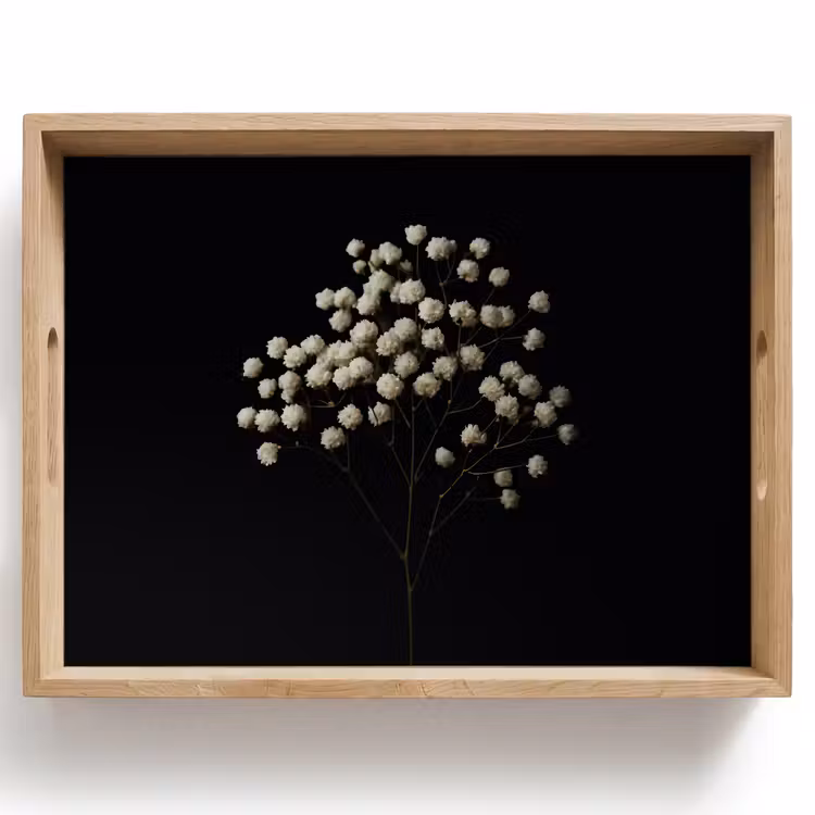 Plateau - Plasterwort - Fleurs - Blanc - Minimaliste — 1