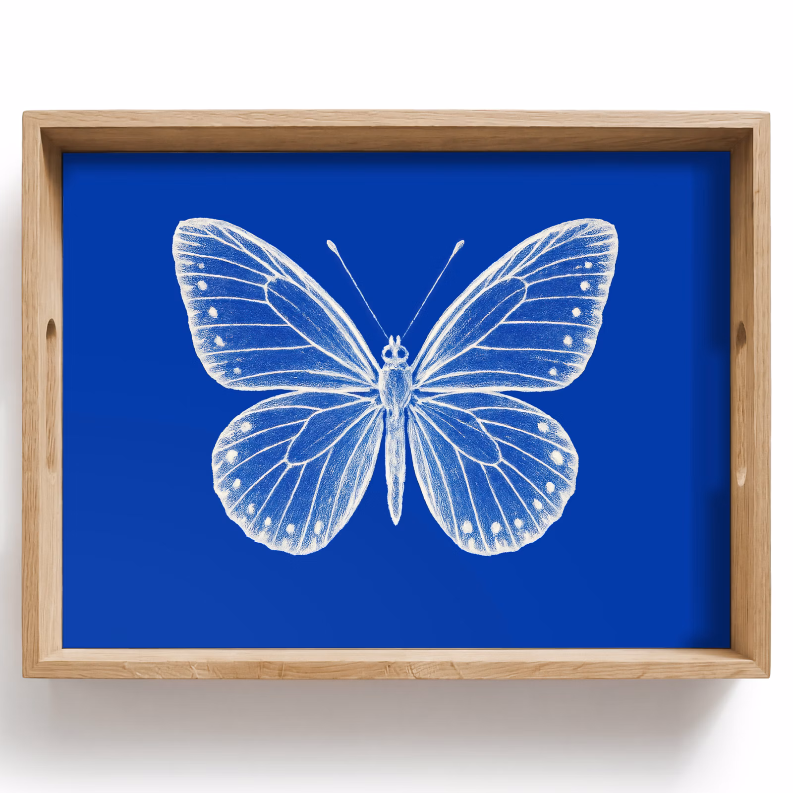 Plateau - Papillon - Blanc - Pointillé — 1