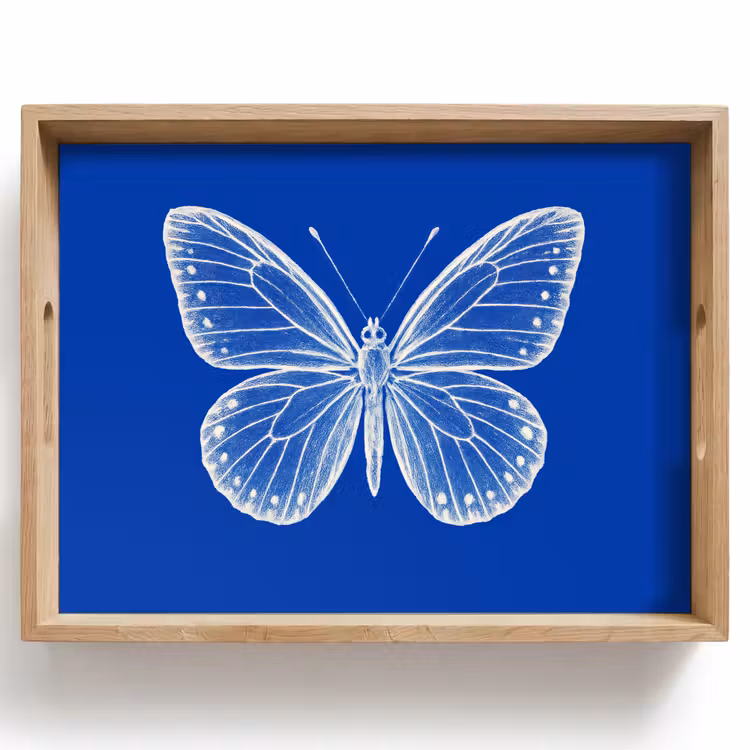 Plateau - Papillon - Blanc - Pointillé — 1