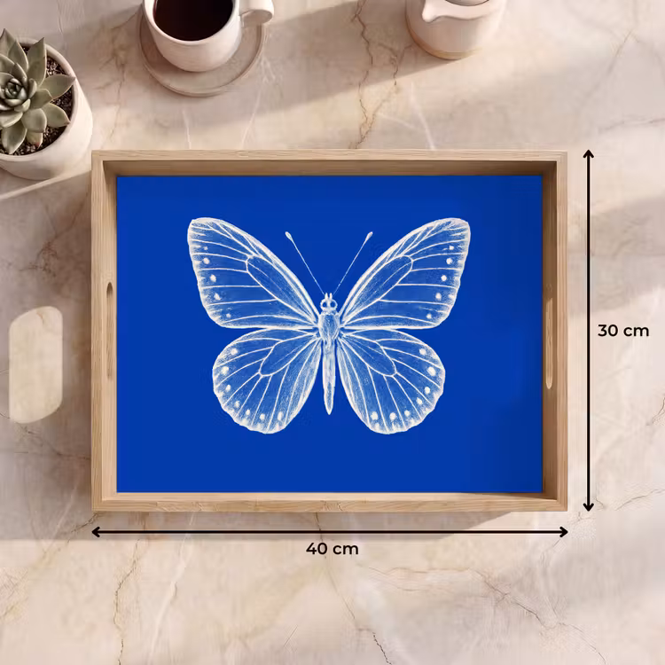 Plateau - Papillon - Blanc - Pointillé — 7