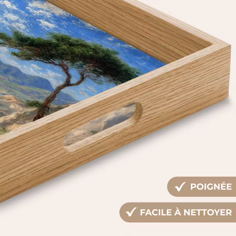 Plateau - Rochers - Littoral - Arbre - Montagnes — 8