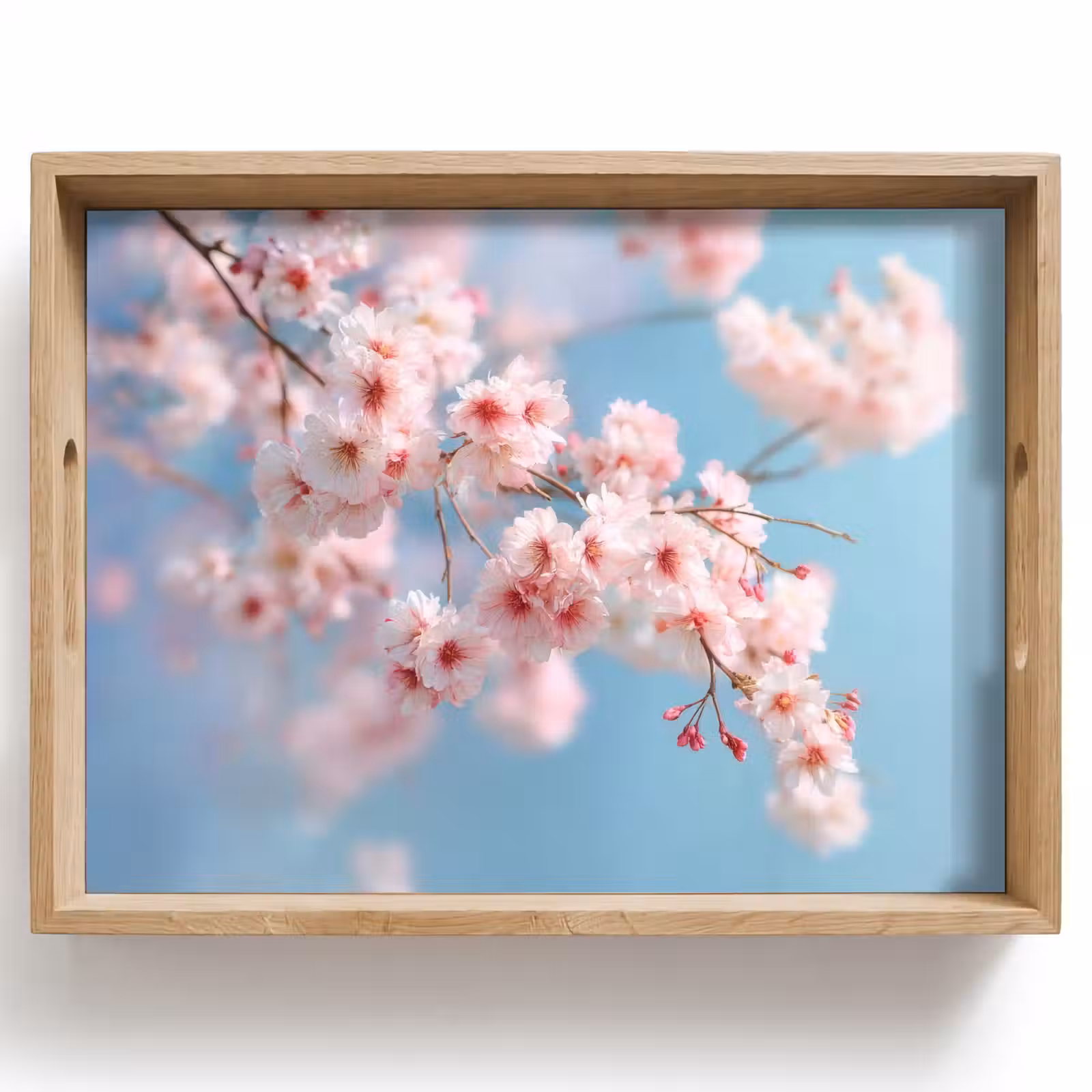 Plateau - Branches - Fleurs - Rose — 1
