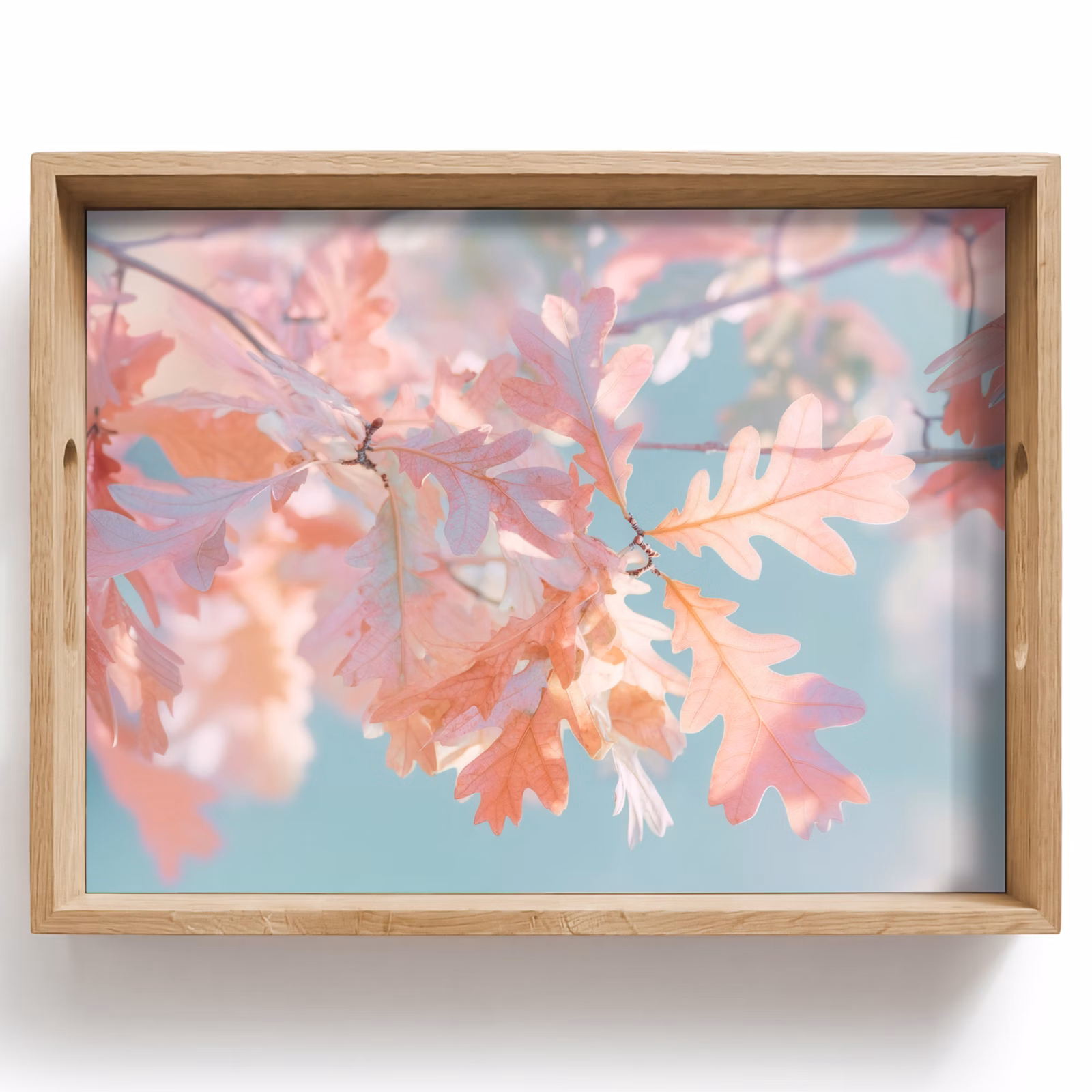 Plateau - Feuilles de chêne - Branches - Rose — 1