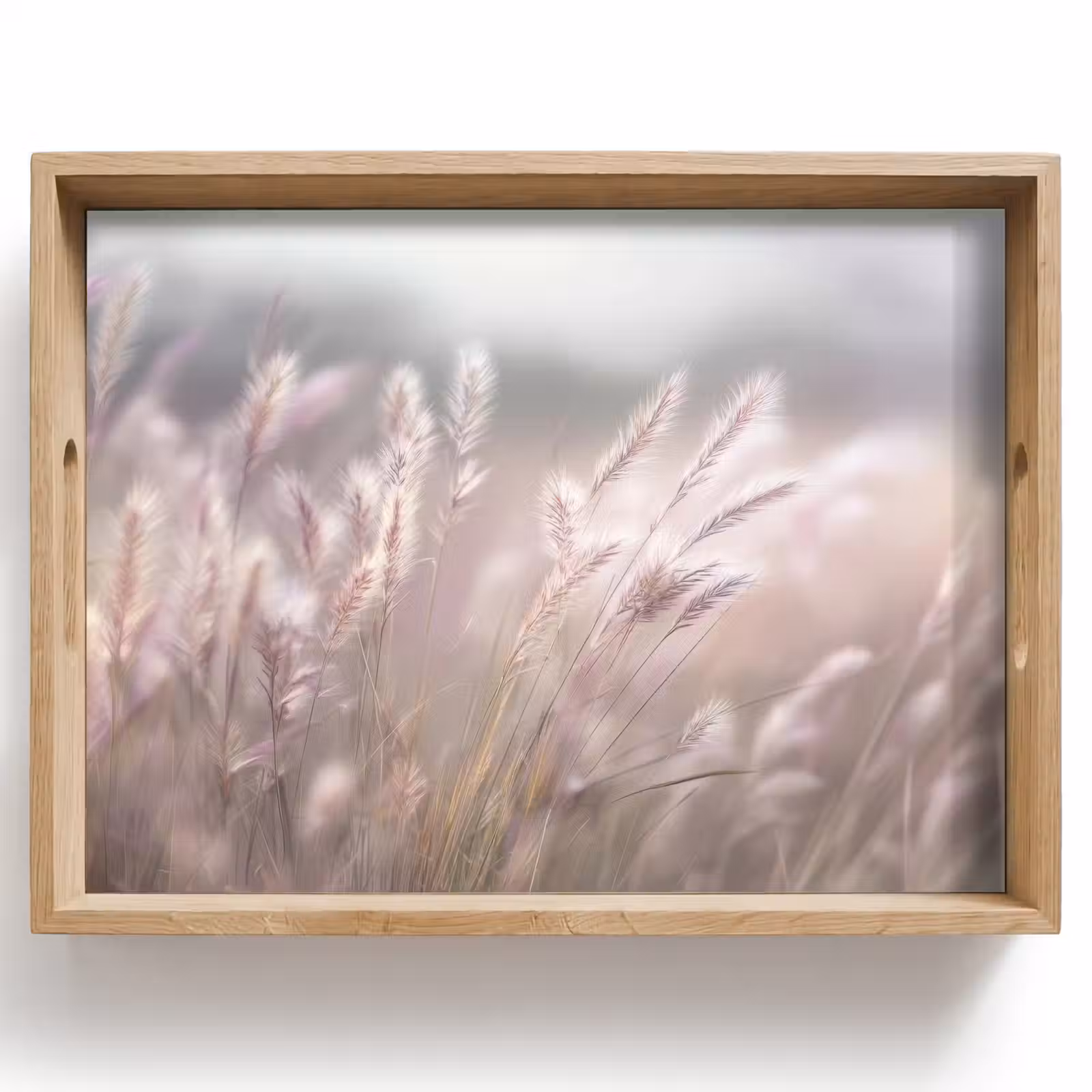 Plateau - Panaches d'herbe - Vent - Beige - Brumeux — 1