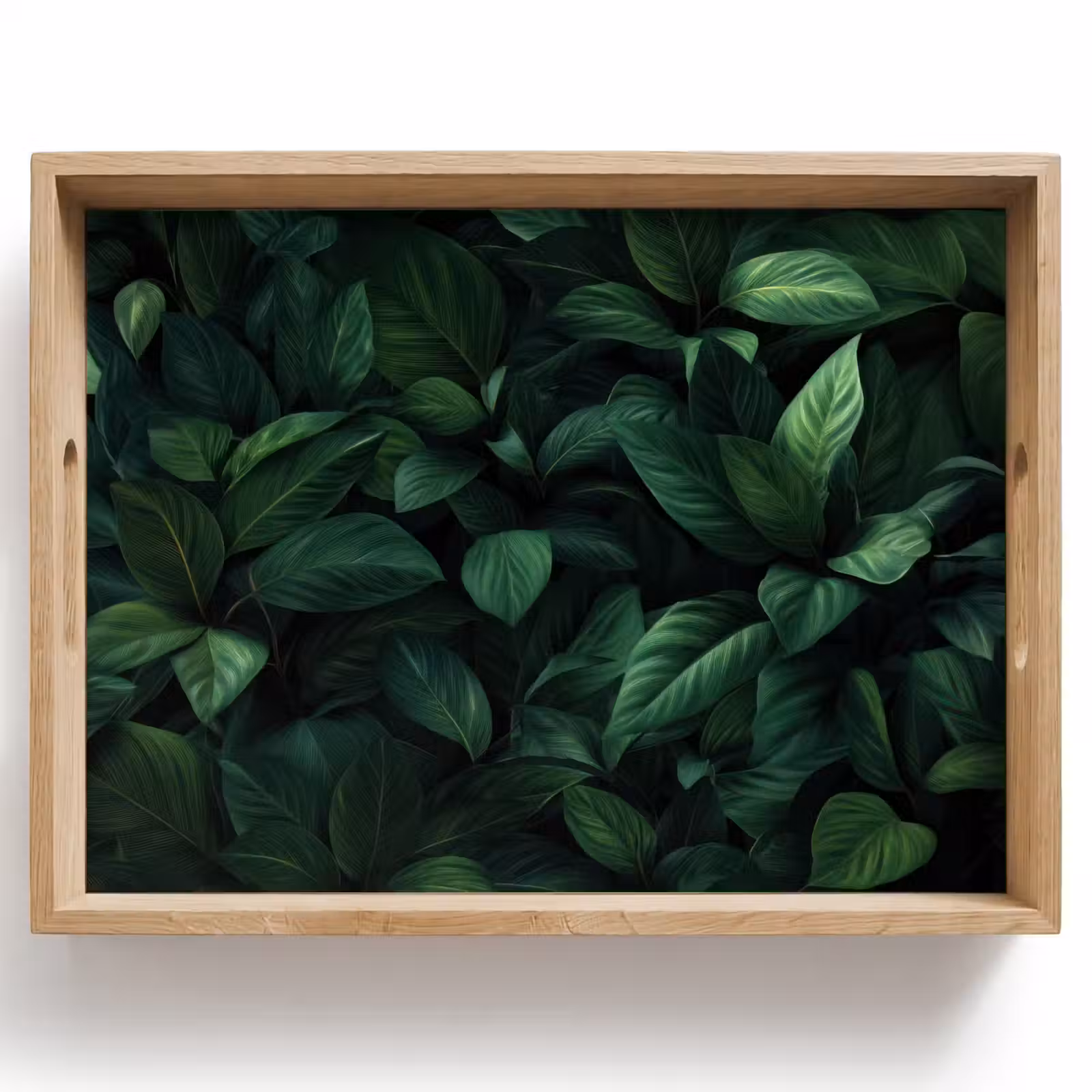 Plateau - Feuilles - Ovale - Vert - Veines — 1