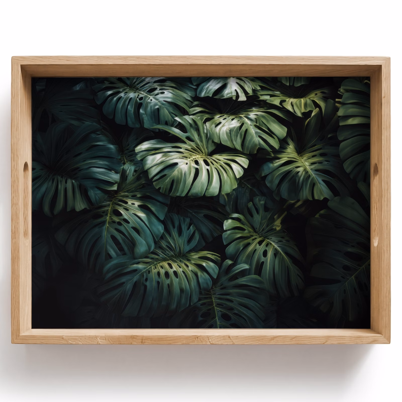 Plateau - Plante - Monstera - Légère — 1