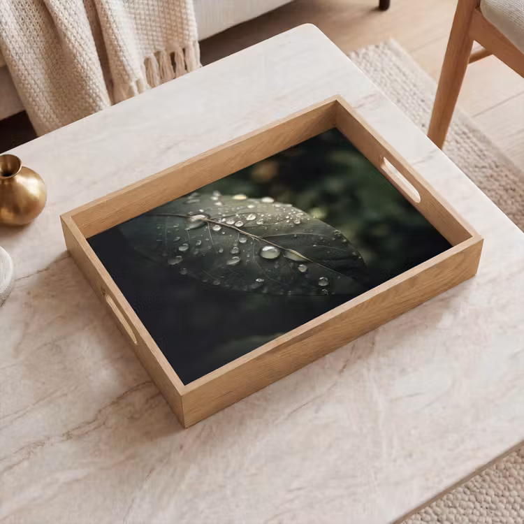 Plateau - Feuille - Vert - Veines - Gouttes de pluie — 2