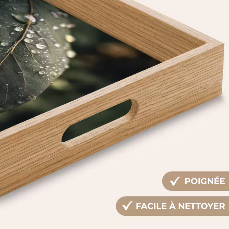 Plateau - Feuille - Vert - Veines - Gouttes de pluie — 8