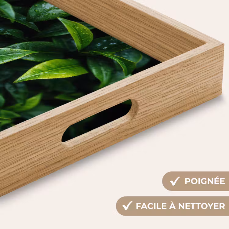 Plateau - Feuilles - Gouttes de pluie - Lumière - Vert — 8