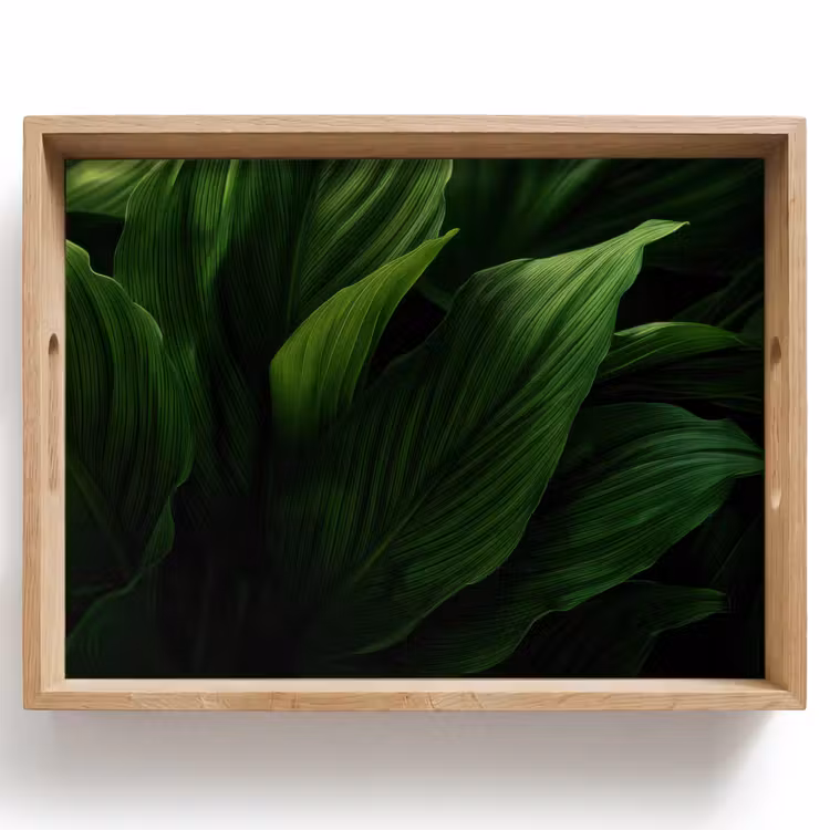 Plateau - Feuilles - Ombre - Vert - Texture — 1