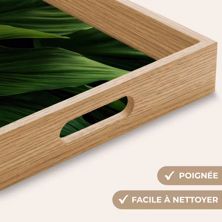 Plateau - Feuilles - Ombre - Vert - Texture — 8