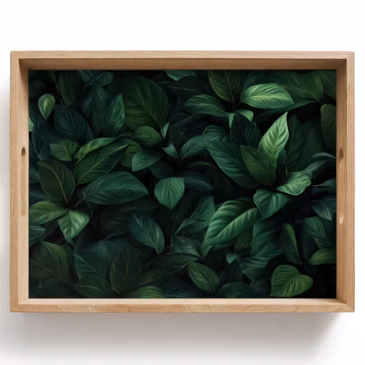 Plateau - Feuilles - Ovale - Vert - Veines — 1