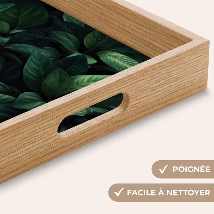 Plateau - Feuilles - Ovale - Vert - Veines — 8
