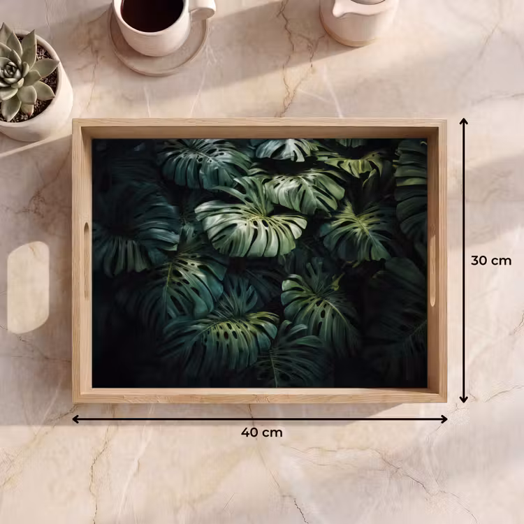 Plateau - Plante - Monstera - Légère — 7