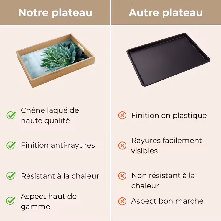 Plateau - Succulente - Feuilles - Vert - Flou — 9