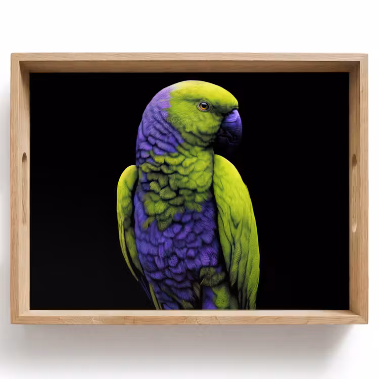 Plateau - Perroquet - Plumes - Attrayant - Vert — 1