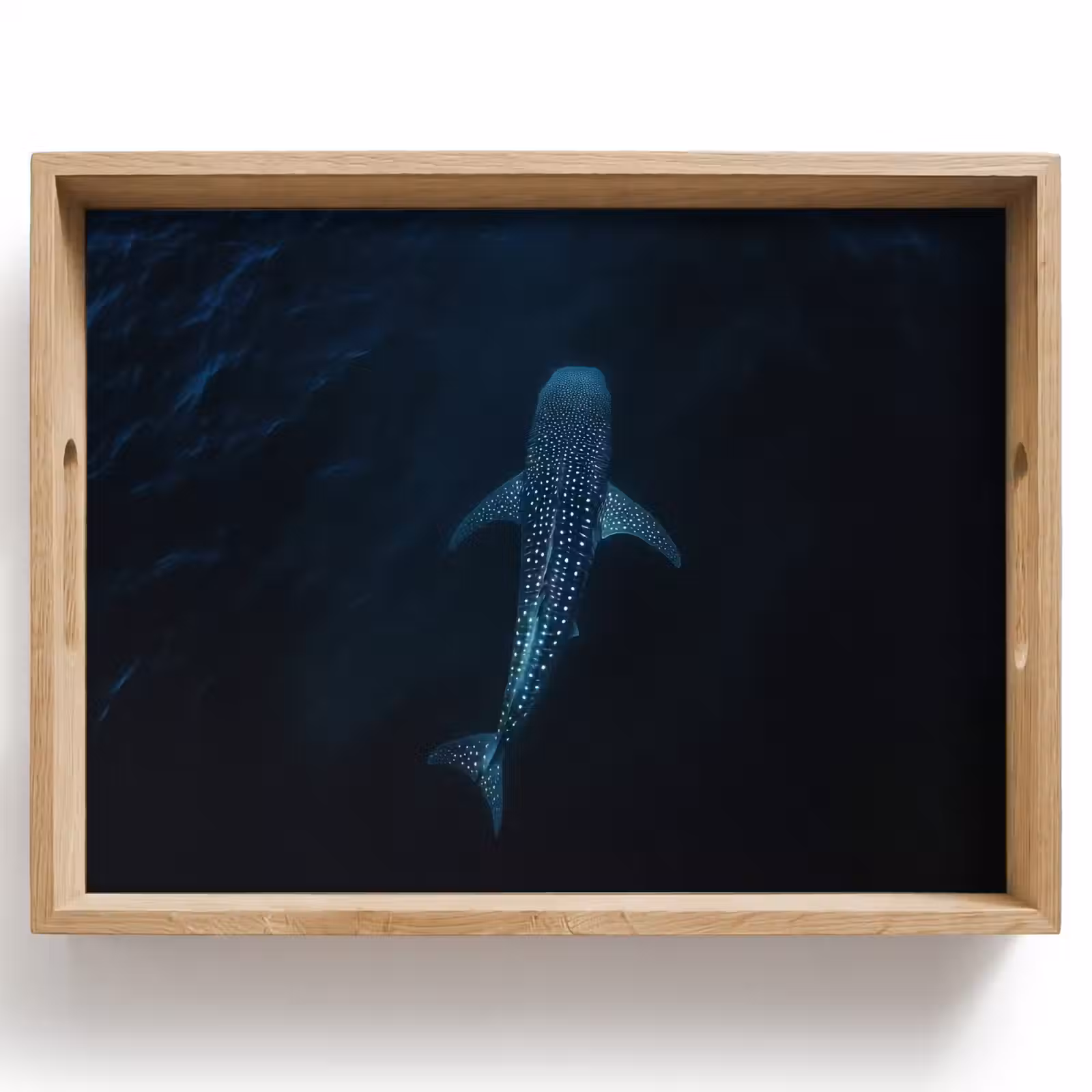 Plateau - Océan - Requin-baleine - Bleu foncé - Taches — 1