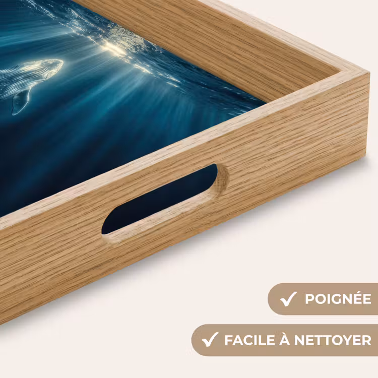 Plateau - Baleine - Eau - Rayons de soleil - Bleu — 8