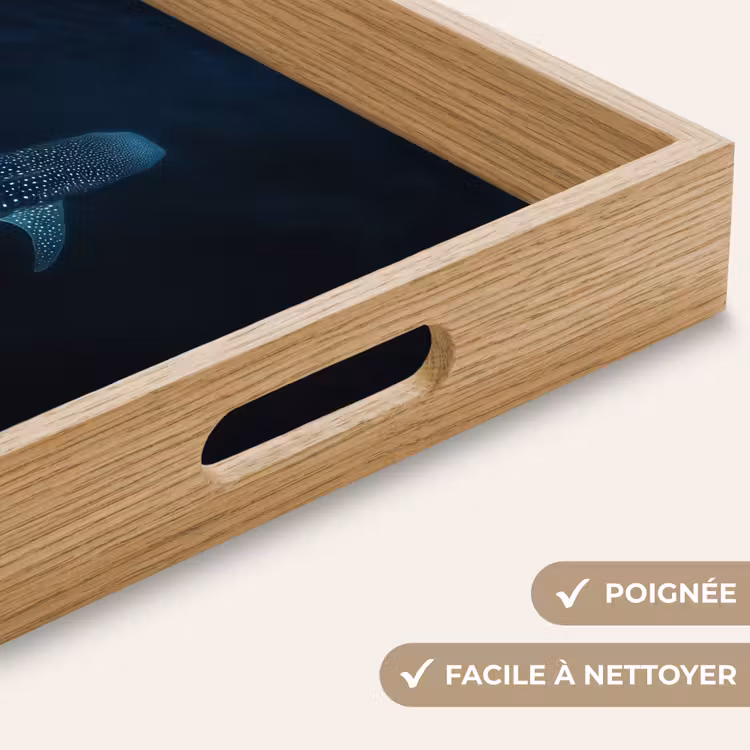 Plateau - Océan - Requin-baleine - Bleu foncé - Taches — 8