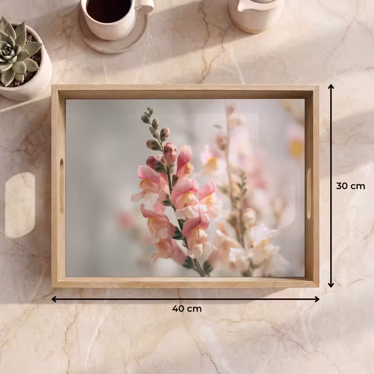 Plateau - Fleur - Muflier - Rose - Tige — 7