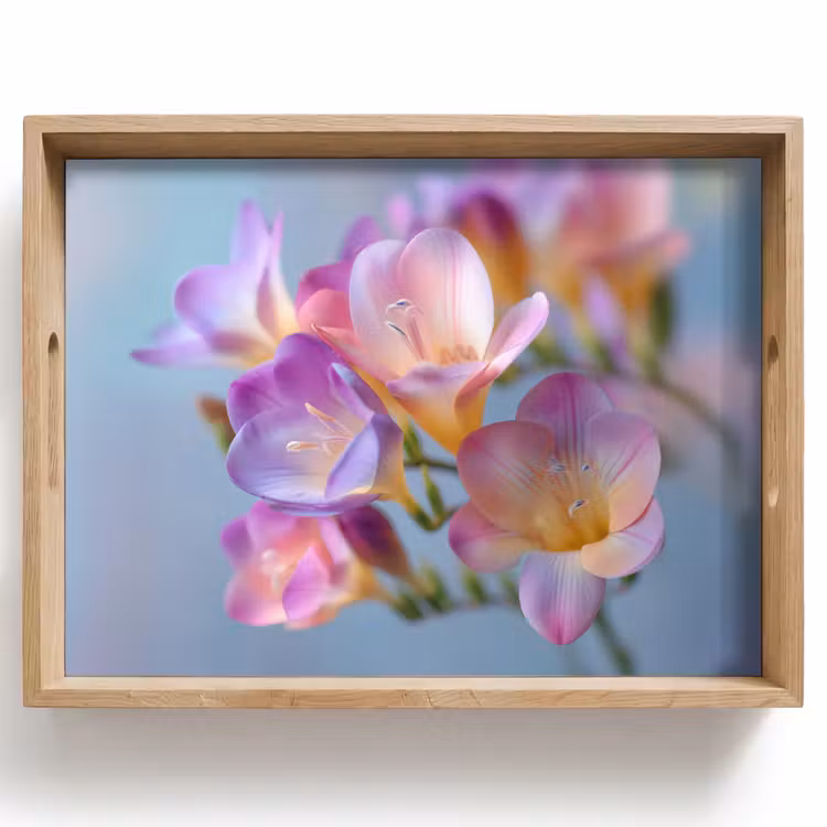 Plateau - Fleurs - Pourpre - Débordement - Étamines — 1