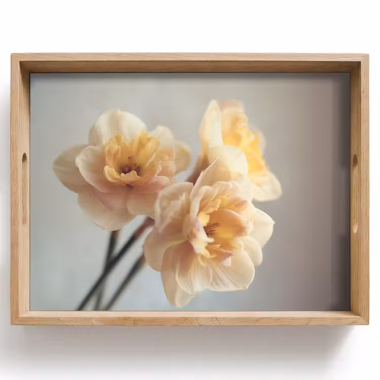 Plateau - Jonquilles - Jaune - Pétales — 1