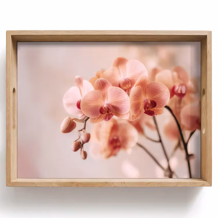 Plateau - Orchidée - Fleurs - Rose - Pétales — 1
