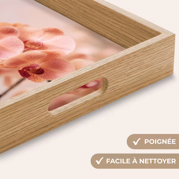 Plateau - Orchidée - Fleurs - Rose - Pétales — 8