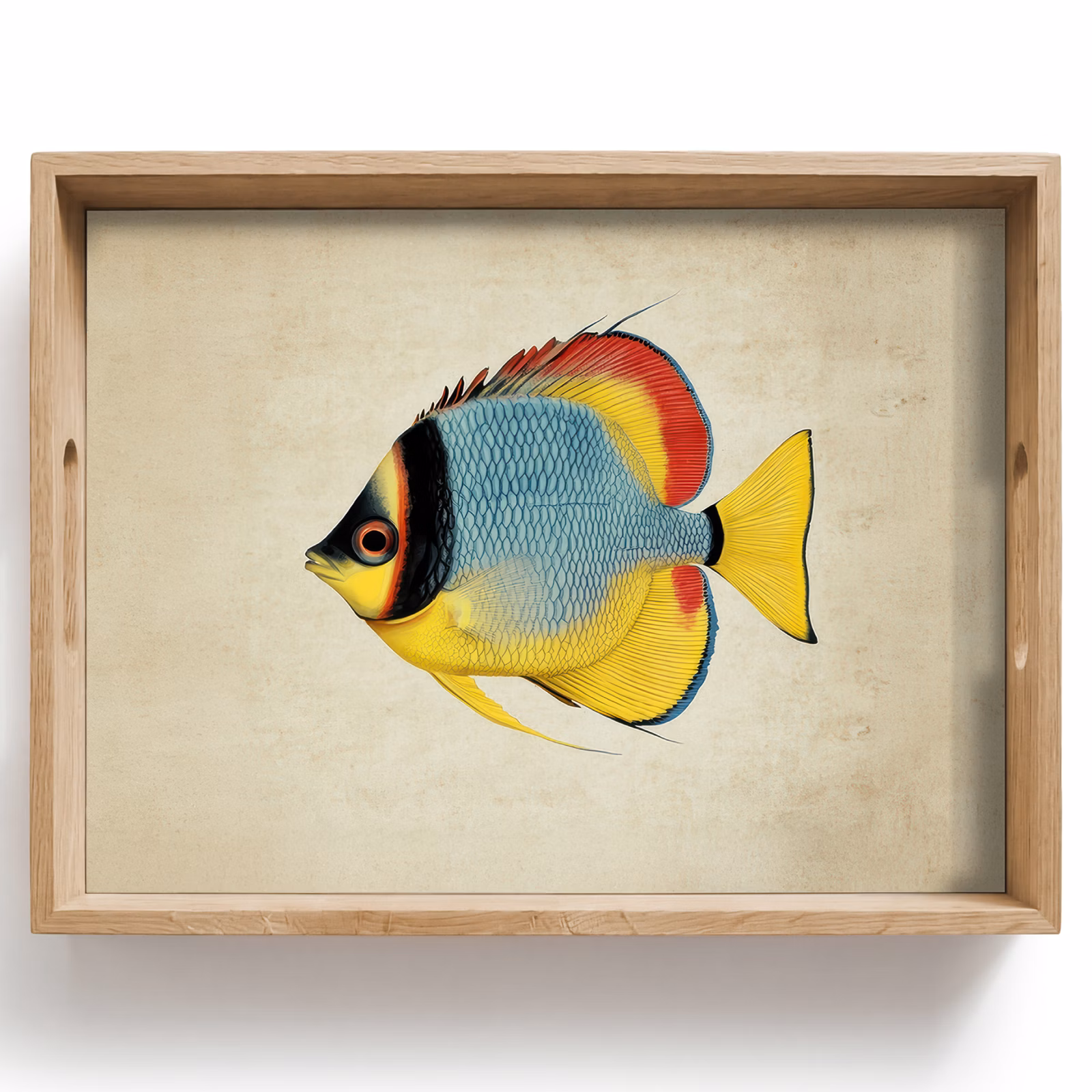Plateau - Coloré - Poisson - Écailles - Illustration — 1