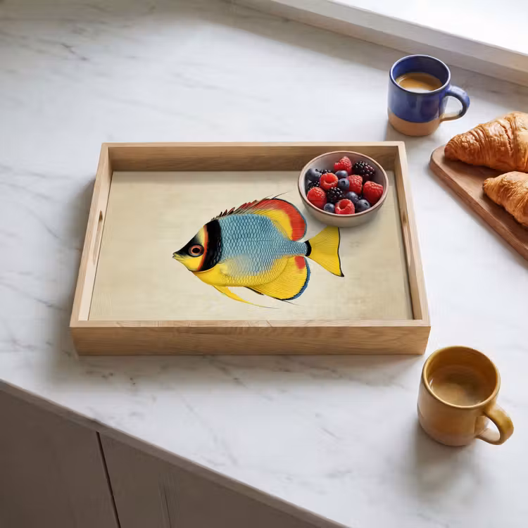 Plateau - Coloré - Poisson - Écailles - Illustration — 3