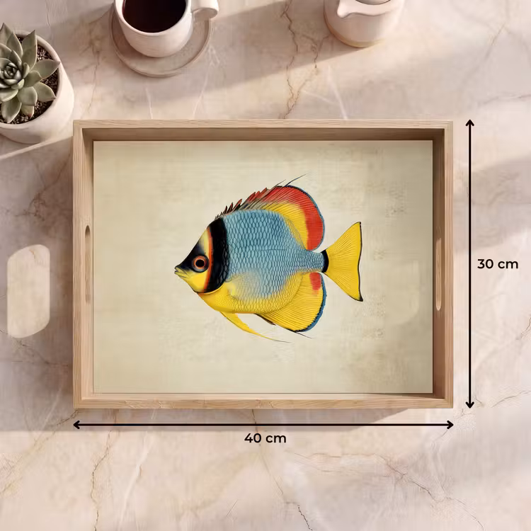 Plateau - Coloré - Poisson - Écailles - Illustration — 7
