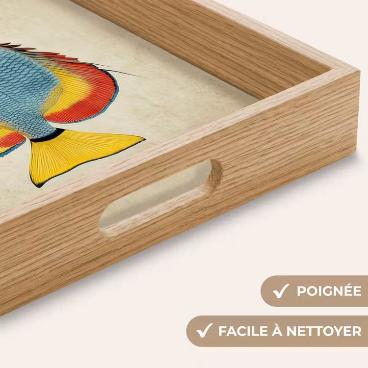 Plateau - Coloré - Poisson - Écailles - Illustration — 8