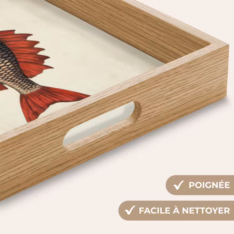 Plateau - Écailles - Rouge - Poisson - Nageoires — 8