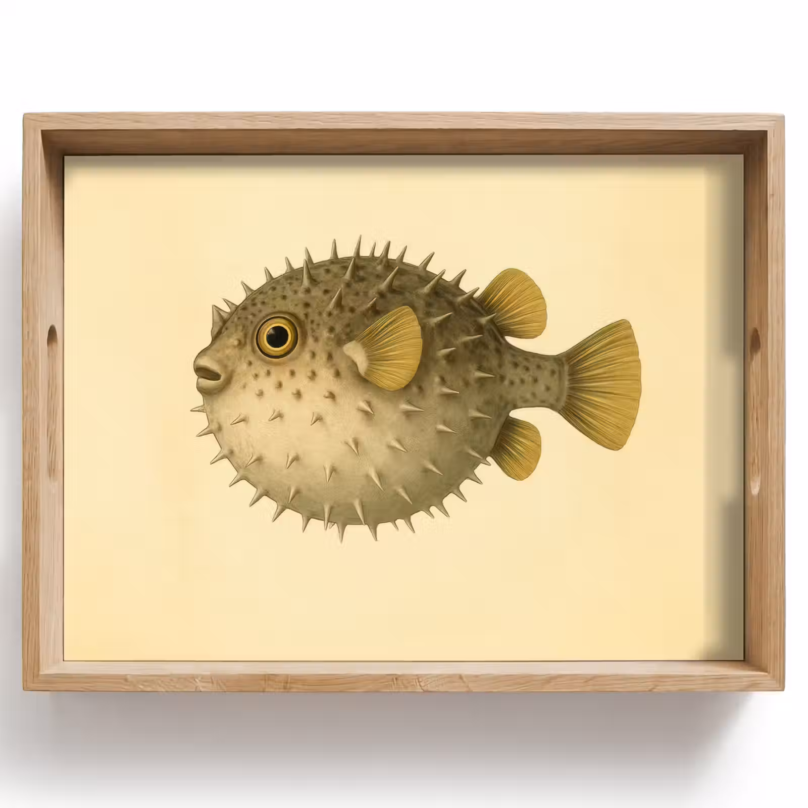 Plateau - Épines - Poisson - Gonflées - Marron — 1