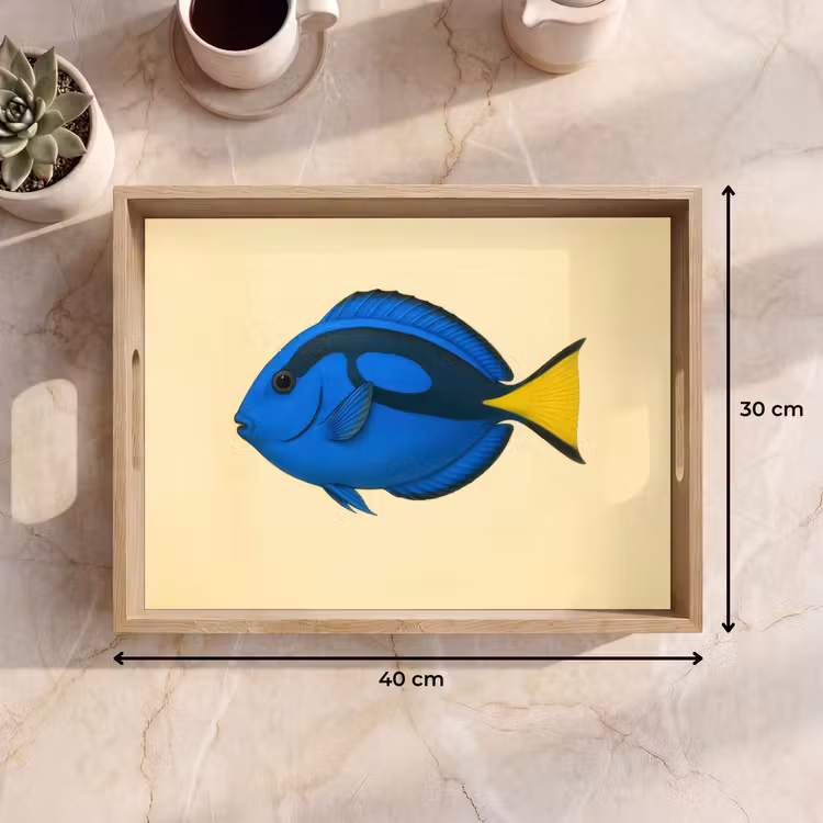 Plateau - Bleu - Dory - Poisson - Nageoire caudale — 7