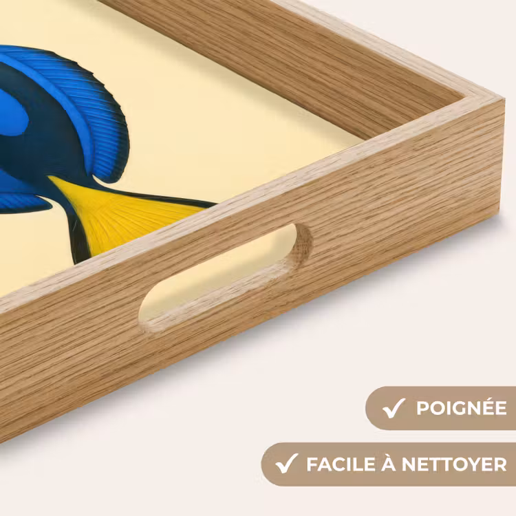 Plateau - Bleu - Dory - Poisson - Nageoire caudale — 8
