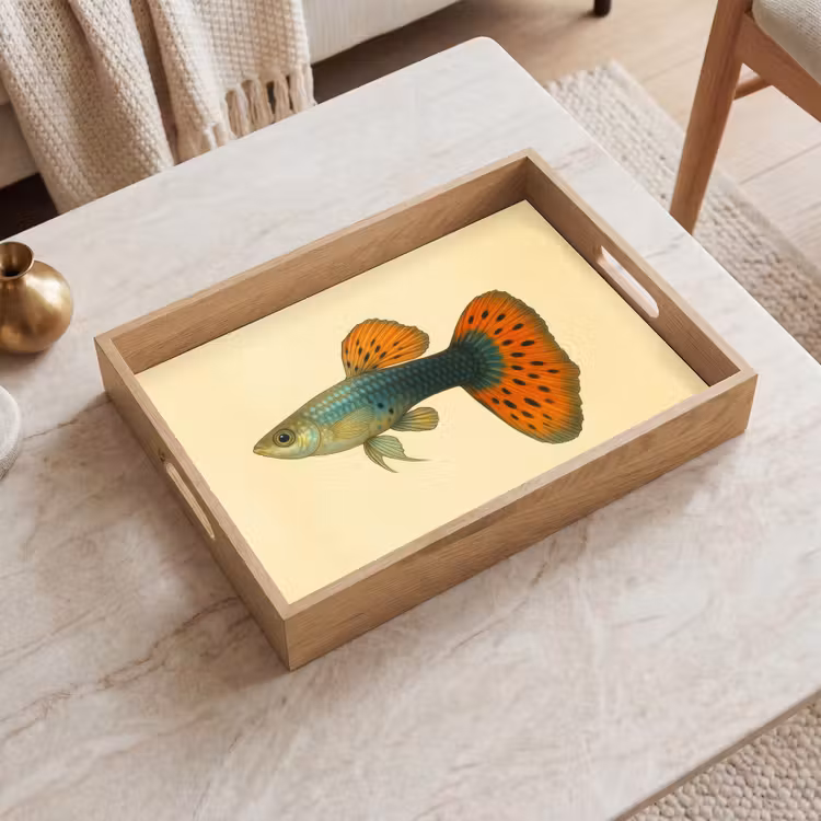 Plateau - Poisson - illustration - Points - Orange — 2